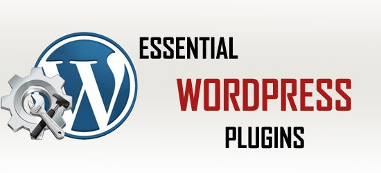 Essential wordpress plugins