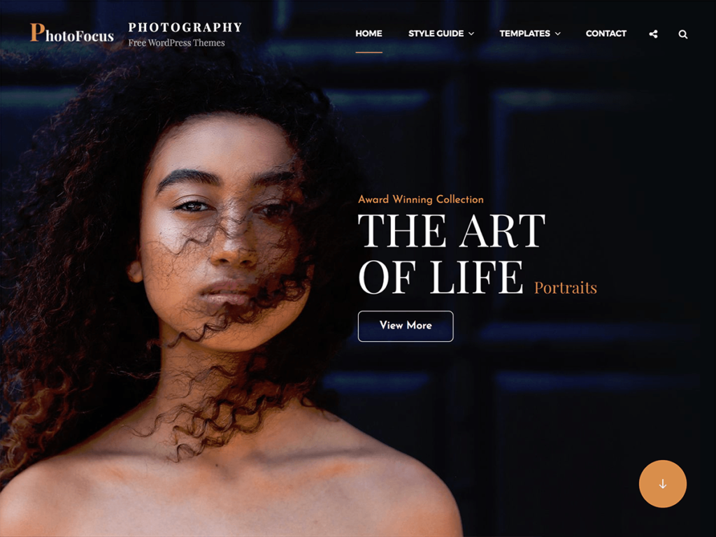 PhotoFocus WordPress theme